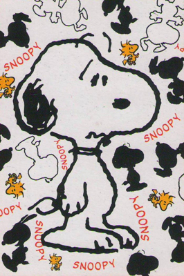 Fleece deka Snoopy 100x150 cm